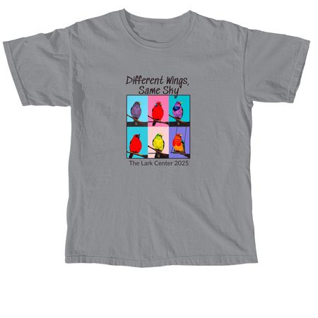 Different Wings, Same Sky, a Granite Comfort Colors Unisex Tee