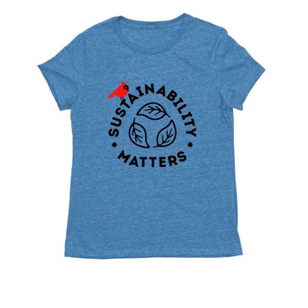 New Shirts for Earth Month!, a Azure Blue Allmade Eco Triblend Women?s Tee