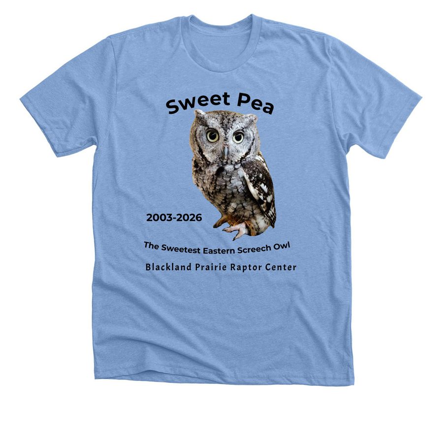 In Memory of Sweet Pea, a Heather Carolina Blue Premium Unisex Tee