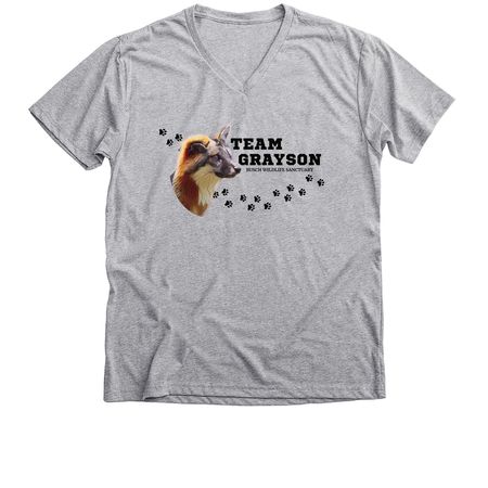 Team Grayson, a Athletic Heather Premium V-Neck Tee
