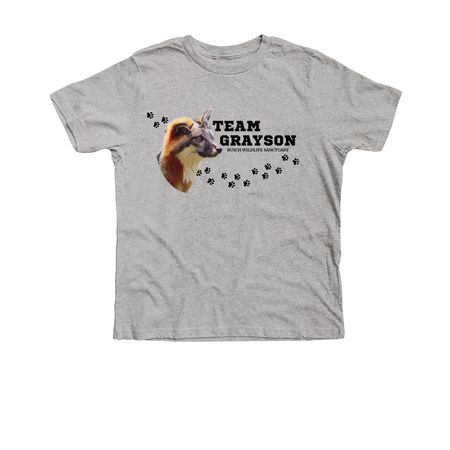 Team Grayson, a Athletic Heather Premium Youth Tee
