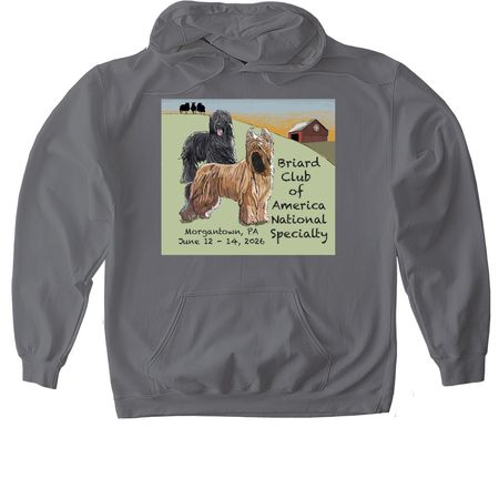 2026 BCA National, a Charcoal Gildan Softstyle Pullover Hoodie