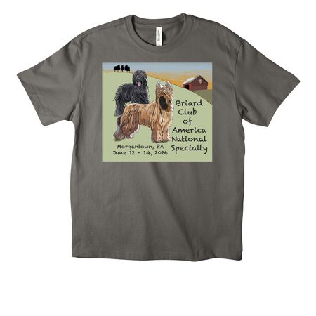 2026 BCA National, a Asphalt Unisex Heavyweight Tee
