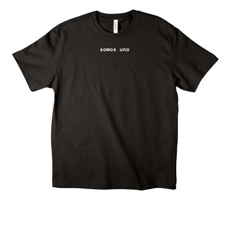 Awaken The Light, a Black Unisex Heavyweight Tee
