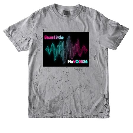 Elevate and Evolve, a Smoke Comfort Colors Colorblast Tee