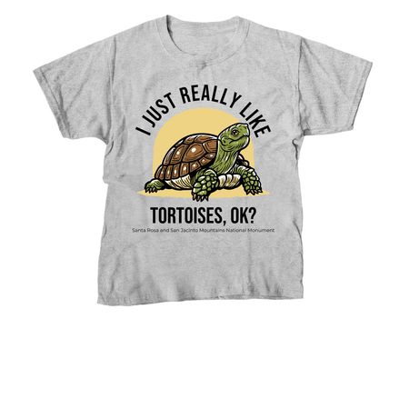 I JUST REALLY LIKE TORTOISES, OK?, a Sport Grey Youth Unisex Tee