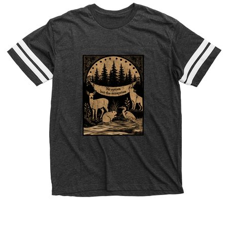 No System But The Ecosystem, a Vintage Smoke / White Football Jersey Tee
