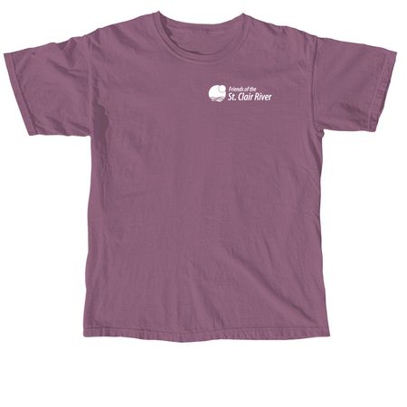Spring Vibes Only, a Berry Comfort Colors Unisex Tee