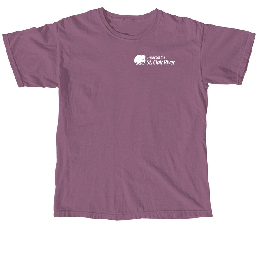 Summer Vibes Only, a Berry Comfort Colors Unisex Tee
