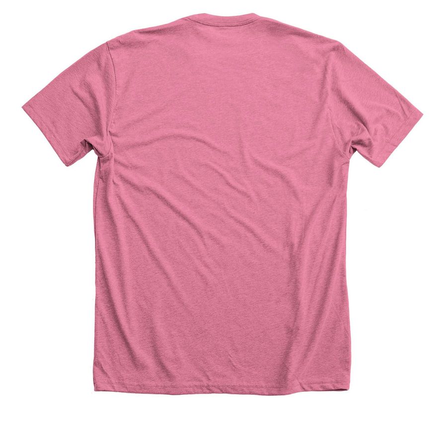 Spitfire Shirts 2026, a Heather Mauve Premium Unisex Tee (back-view)