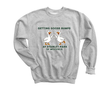 Youth Goose Bumps, a Sport Grey Youth Crewneck Sweatshirt