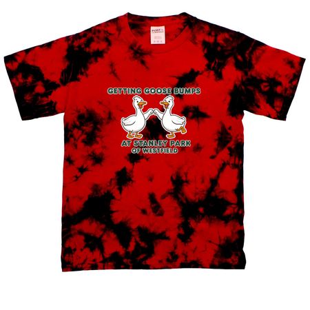 Youth Goose Bumps, a Black/ Red Youth Crystal Tie Dye Tee