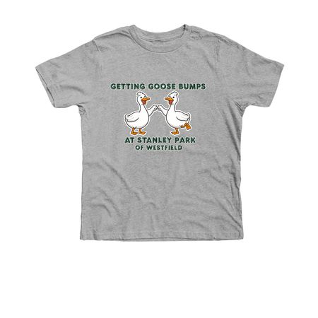 Youth Goose Bumps, a Athletic Heather Premium Youth Tee