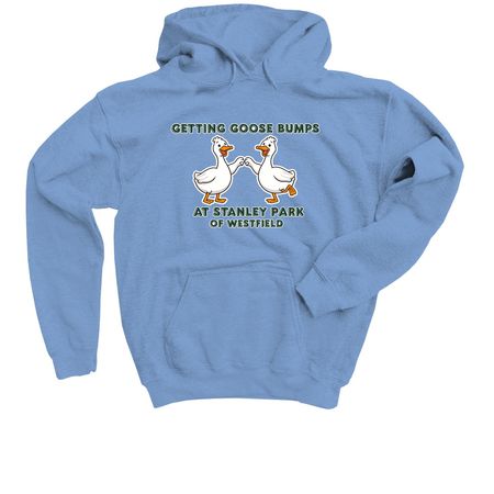 Youth Goose Bumps, a Carolina Blue Youth Pullover Hoodie