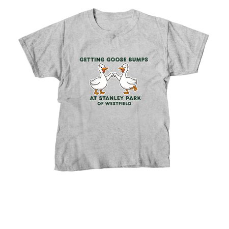 Youth Goose Bumps, a Sport Grey Youth Unisex Tee