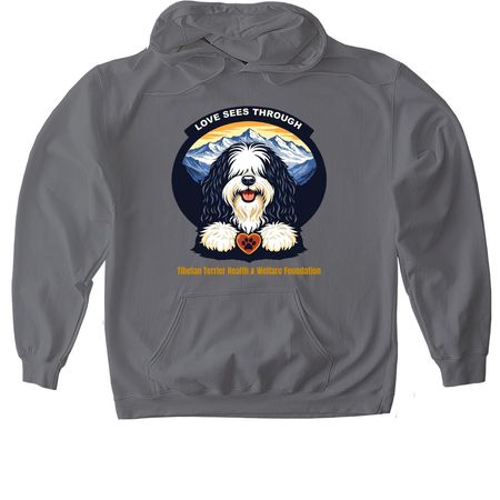 Love Sees Through, a Charcoal Gildan Softstyle Pullover Hoodie