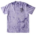 Dogs With Rattitude Qualifier Gear - 2026, a Amethyst Comfort Colors Colorblast Tee (back-view)