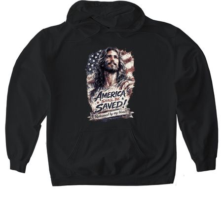 Freedom in Christ, a Black Gildan Softstyle Pullover Hoodie