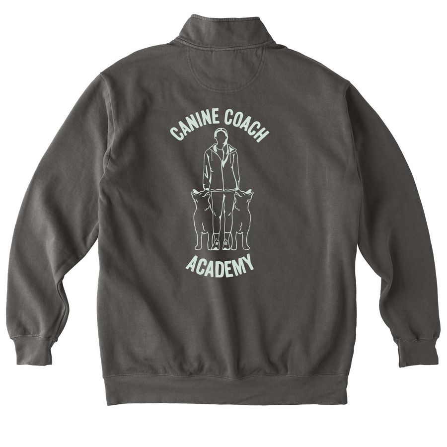 TEACHER, a Pepper Comfort Colors Quarter Zip Pullover (back-view)