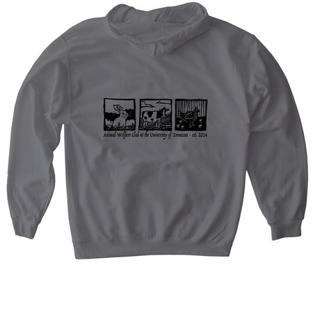 AWC Merch, a Charcoal Gildan Softstyle Pullover Hoodie