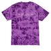 Sorry I Can't Tie Dye, a Purple Crystal Tie Dye Tee (back-view)