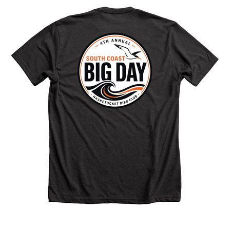 NBC Big Day Apparel, a Dark Grey Heather Premium Unisex Tee (back-view)