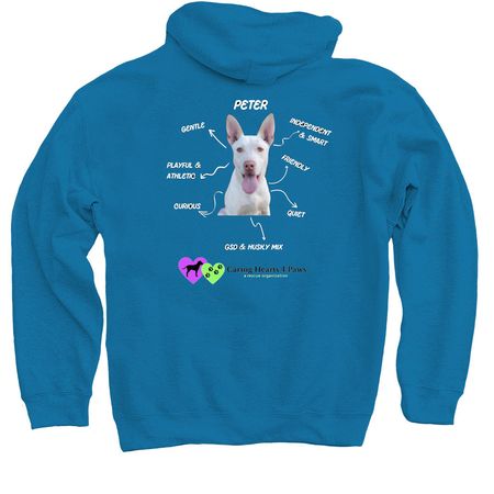 Peter, a Sapphire Pullover Hoodie