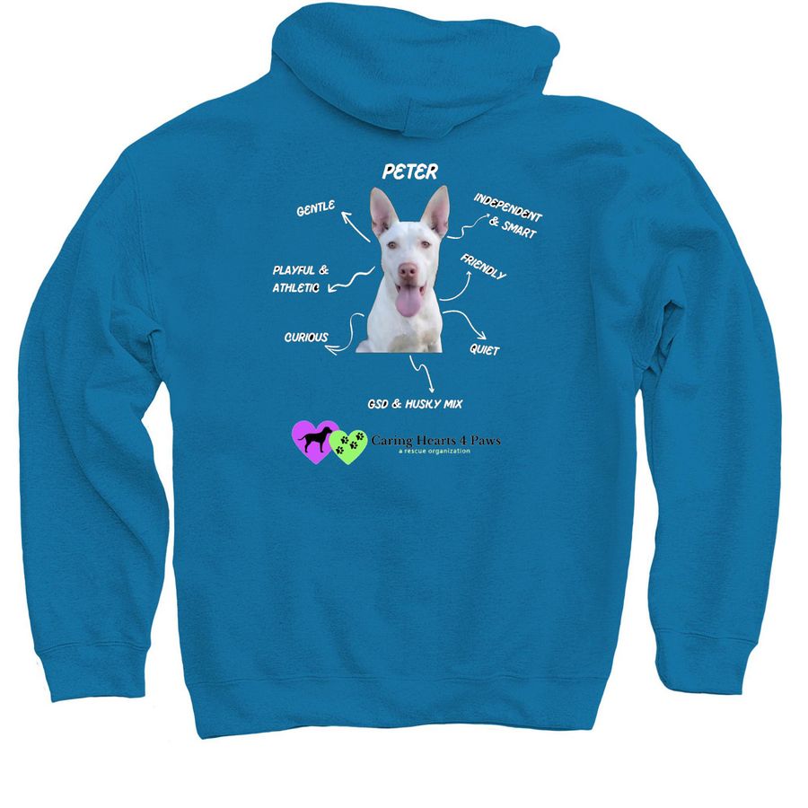 Peter, a Sapphire Pullover Hoodie