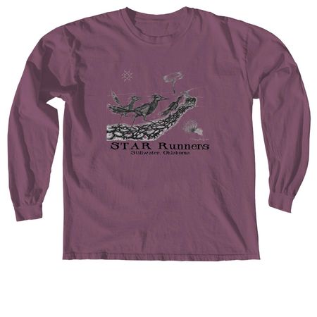 Roadrunner Alley, a Berry Comfort Colors Long Sleeve Tee