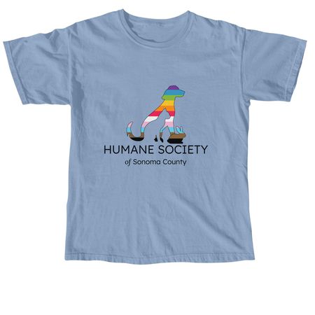 Pride 2026, a Washed Denim Comfort Colors Unisex Tee