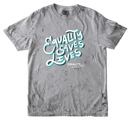 2026 Equality Fest Merch, a Smoke Comfort Colors Colorblast Tee