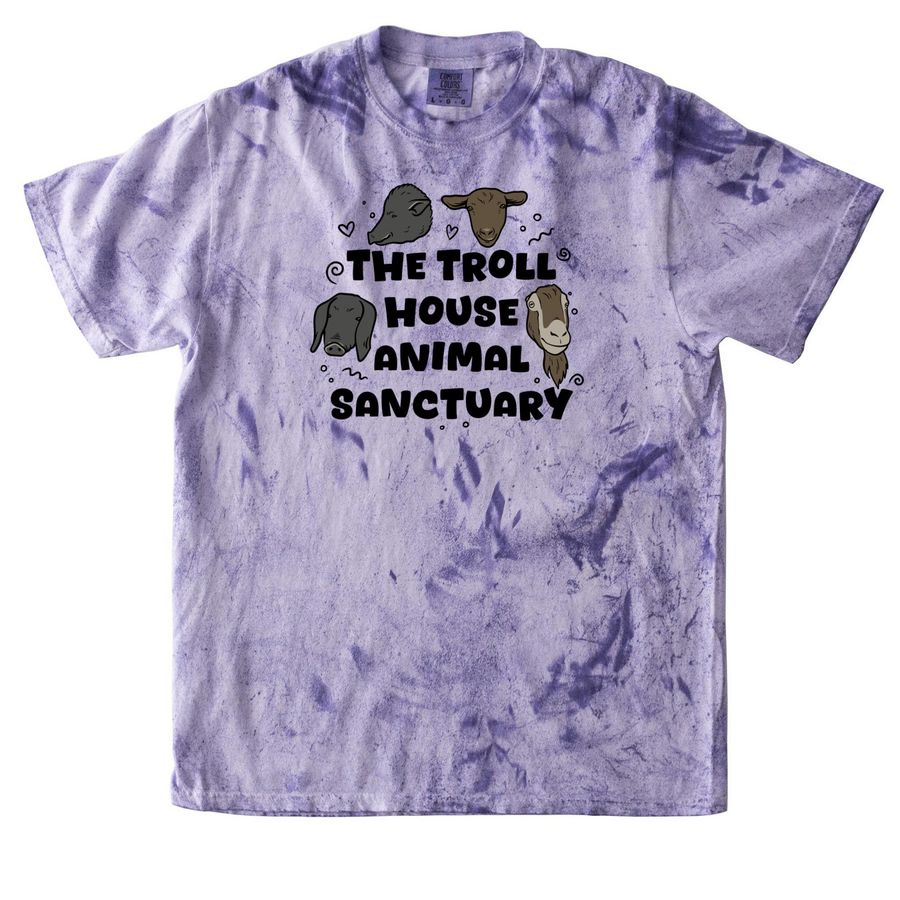 Summer in Sanctuary 2026, a Amethyst Comfort Colors Colorblast Tee