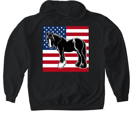Wear one of Valor Horses!, a Black Gildan Softstyle Pullover Hoodie