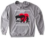 Fundraiser for Apollo?s Surgery, a Sport Grey Gildan Softstyle Pullover Hoodie (back-view)