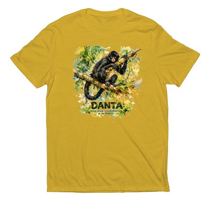 DANTA&nbsp;, a Suncatcher Gold Allmade Eco Triblend Unisex Tee