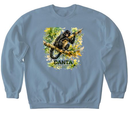 DANTA&nbsp;, a Stone Blue Softstyle Crewneck Sweatshirt