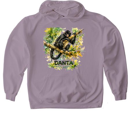 DANTA&nbsp;, a Paragon Gildan Softstyle Pullover Hoodie