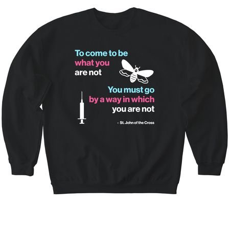 St. John of the Cross Trans Pride Tee, a Black Softstyle Crewneck Sweatshirt