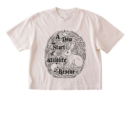ANSWRR Folk Shirt, a Ivory Comfort Colors Boxy Tee