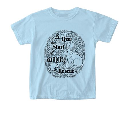 ANSWRR Folk Shirt, a Chambray Comfort Colors Youth Tee
