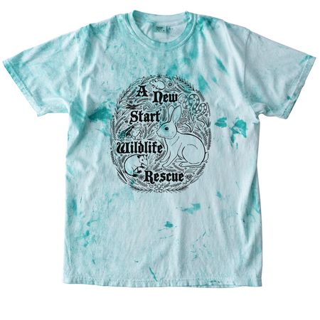 ANSWRR Folk Shirt, a Sea Glass Comfort Colors Colorblast Tee