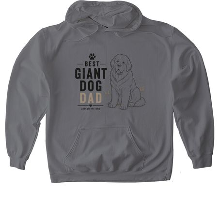 Best Dog Dad!, a Charcoal Gildan Softstyle Pullover Hoodie