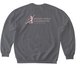 MDC&nbsp;, a Charcoal Softstyle Crewneck Sweatshirt (back-view)
