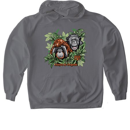 Linus and Oopsie, a Charcoal Gildan Softstyle Pullover Hoodie