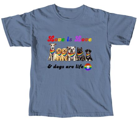Love is love, a Blue Jean Comfort Colors Unisex Tee