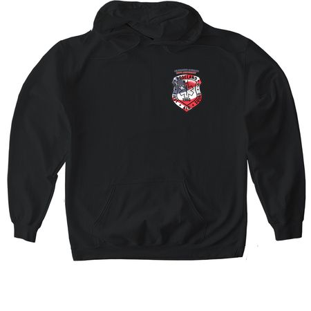 America's 250th with Fireworks, a Black Gildan Softstyle Pullover Hoodie