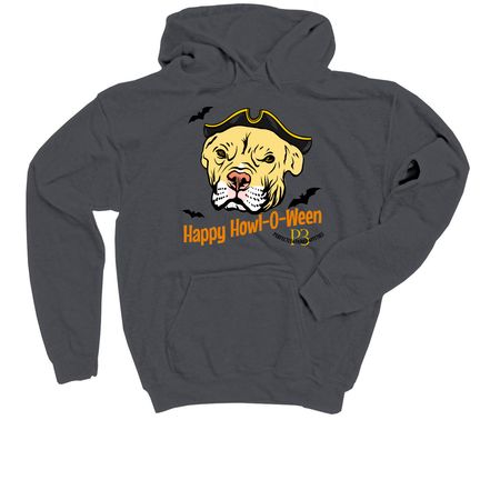 &nbsp;Happy Howl-O-Ween, a Charcoal Youth Pullover Hoodie
