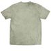 DOUBLE D. REX, a Fern Comfort Colors Colorblast Tee (back-view)