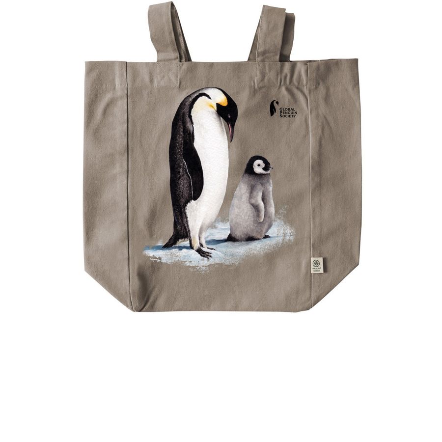 Carry the Change Tote Bag, a Pumice Recycled Cotton Tote Bag