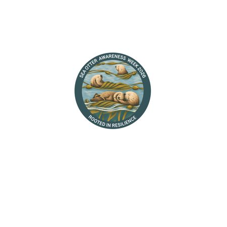 Sea Otter Awareness Week 2026 Sticker, a White Kiss Cut Sticker